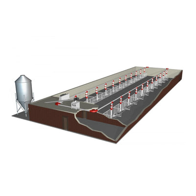 Feeding Automation
