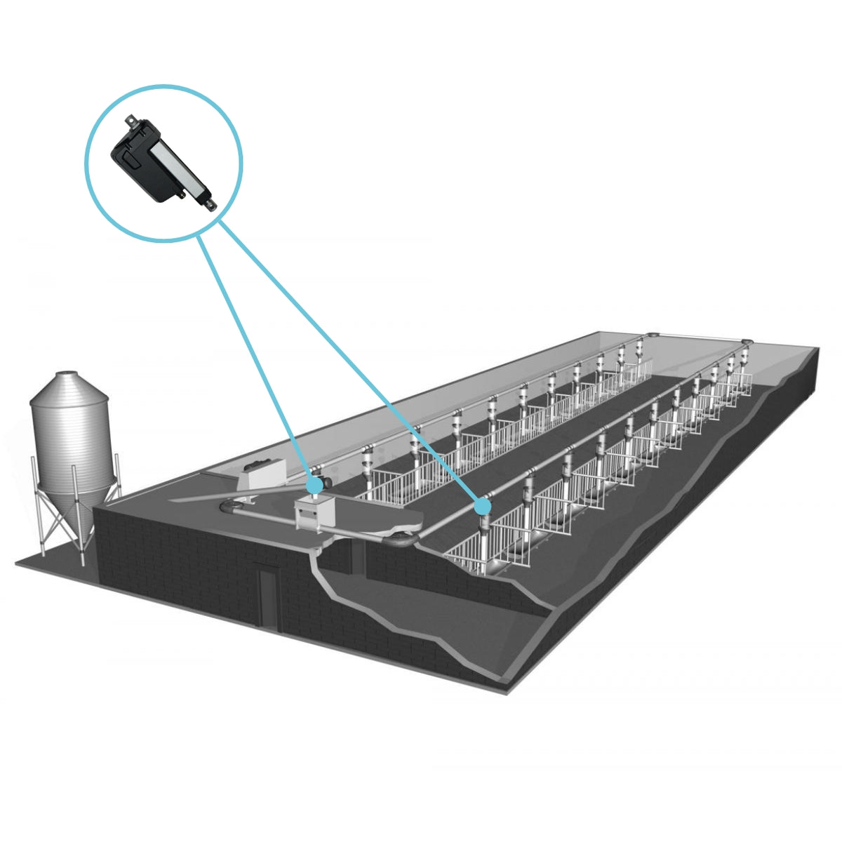 Feeding Automation